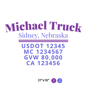 truck door decal with USDOT, MC, GVW, CA